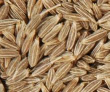 Cumin Seed