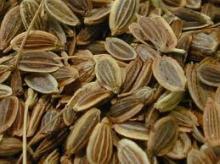 Dill Seed