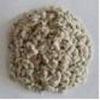 cotton seed whole