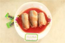 Canned mackerel in tomato sauce