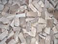 iqf pleurotus