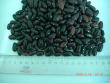 Red kidney beans Guizhou type