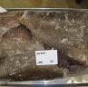 Arrowtooth Flounder