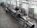 Fresh  potato   chips   processing   line 