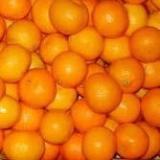 Manderian Oranges