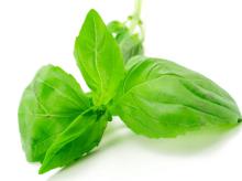  Natural   Linalool 