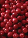 Cranberry P.E.