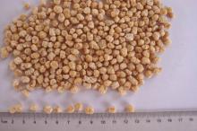 textured soy protein
