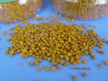 high purify tea pollen for food from CHINA