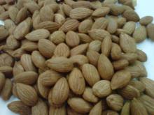 apricot kernel
