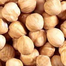 ROASTED HAZELNUT KERNELS