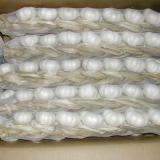 Garlic Braids
