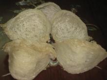 Bird Nest Yellow 1