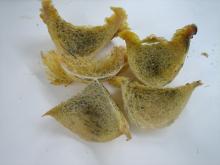Bird Nest Yellow 3