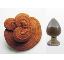 Reishi Mushroom Extract
