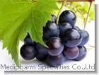 Grape Seed Extract