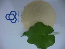Edible  Pig  Gelatin