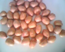 Chinese peanut kernels 35/40