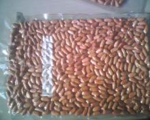 Chinese peanut kernels 28/32