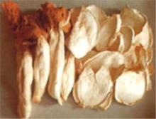 dried pleurotus mushroom