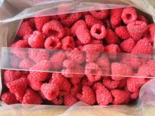 IQF raspberry broken