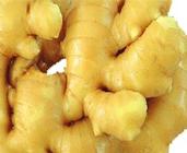 fresh ginger