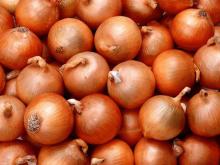 fresh onion