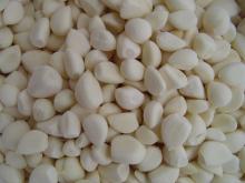  IQF   garlic   clove s