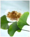 Ginkgo Biloba Extract 24/6MIN.