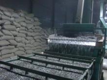 SUNFLOWER SEEDS 118