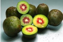  red   kiwi   fruit 