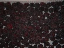 IQF balckberries
