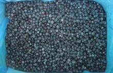 IQF Blueberries