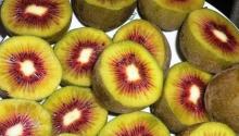 kiwi fruit