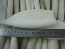 frozen squid