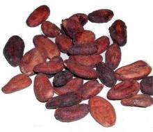  cocoa   beans 