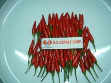  fresh   chilli 