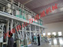 50T/Dcomplete  set  of corn germ & flour  line 