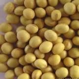 phosphatidylserine