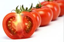 Tomato Paste