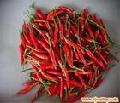 capsaicin