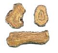 Rhubarb Root