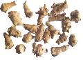 Notoginseng Root