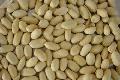 blanched peanut  kernel 