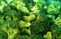  quick   frozen   broccoli 