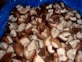  IQF   shiitake   mushroom 