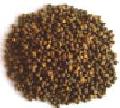 fish feed