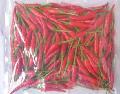 FROZEN RED CHILLI