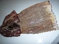 Dried squid