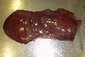  Beef   liver 